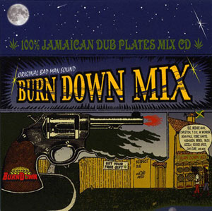 100% JAMAICAN DUB PLATES MIX CD "BURN DOWN MIX"