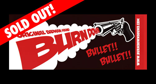 BURN DOWN ������ 2010���֡�